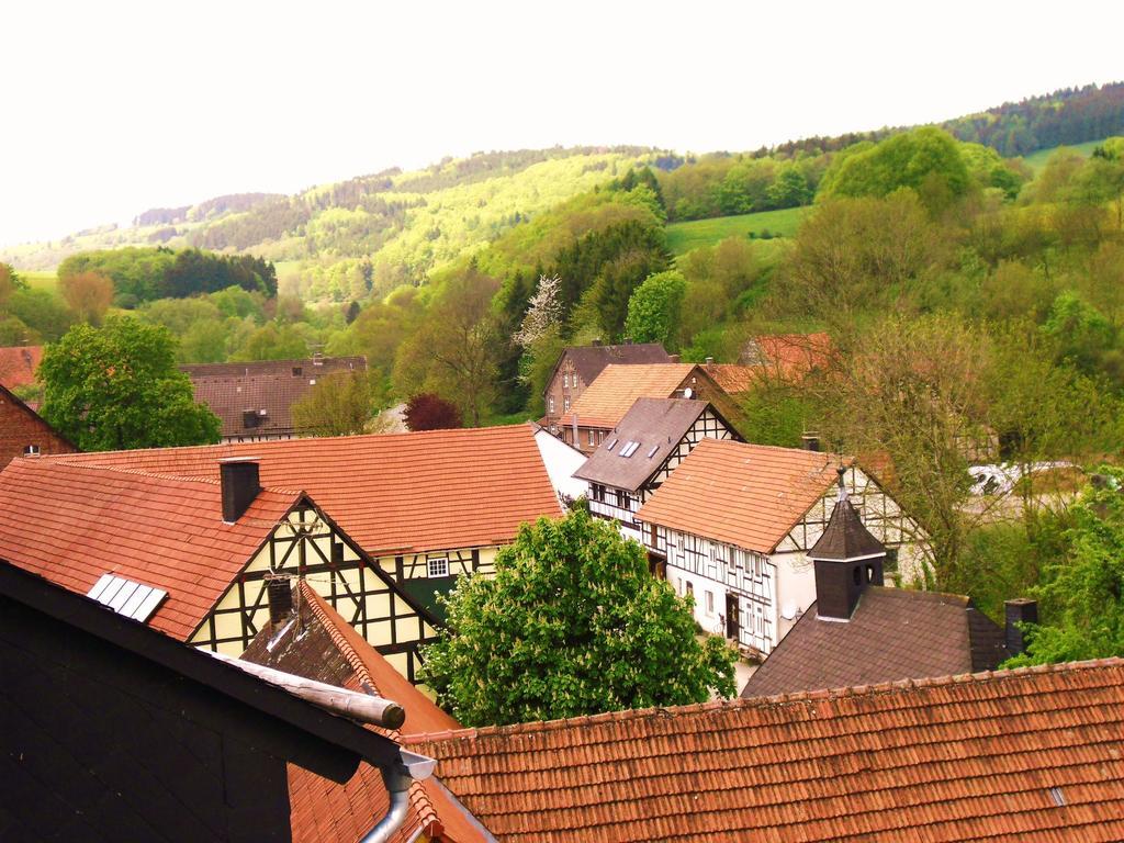 Apartment Preising Willingen  Extérieur photo